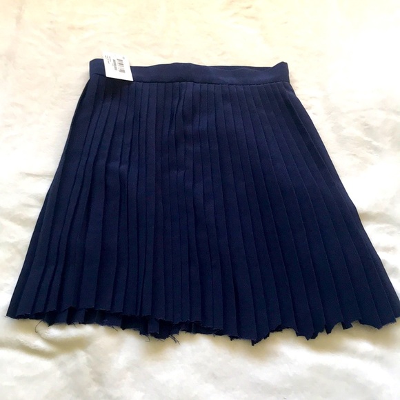 Pleaded Skirt - Picture 1 of 5